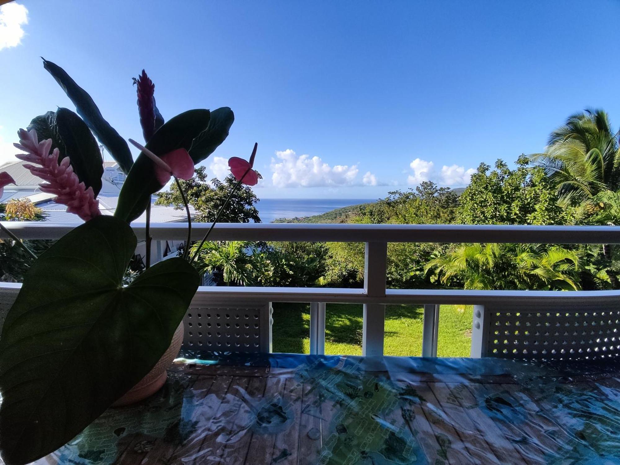 Bungalow With Sea View In Deshaies Extérieur photo