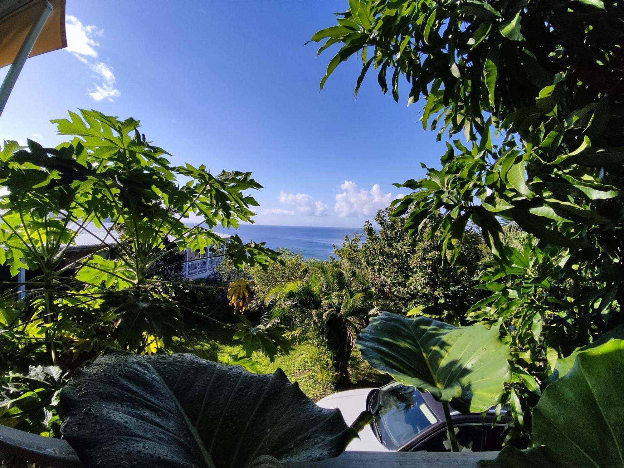 Bungalow With Sea View In Deshaies Chambre photo